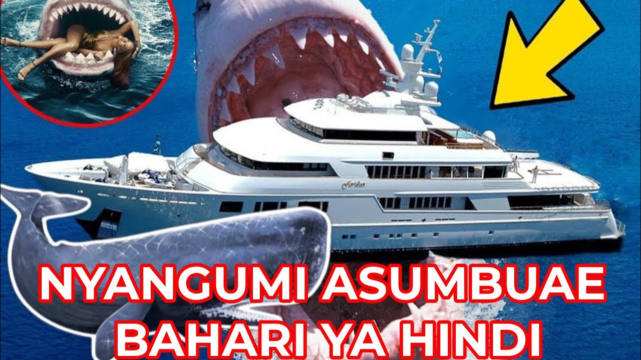 MAAJABU 19 YA NYANGUMI MBABE BAHARINI A-Z