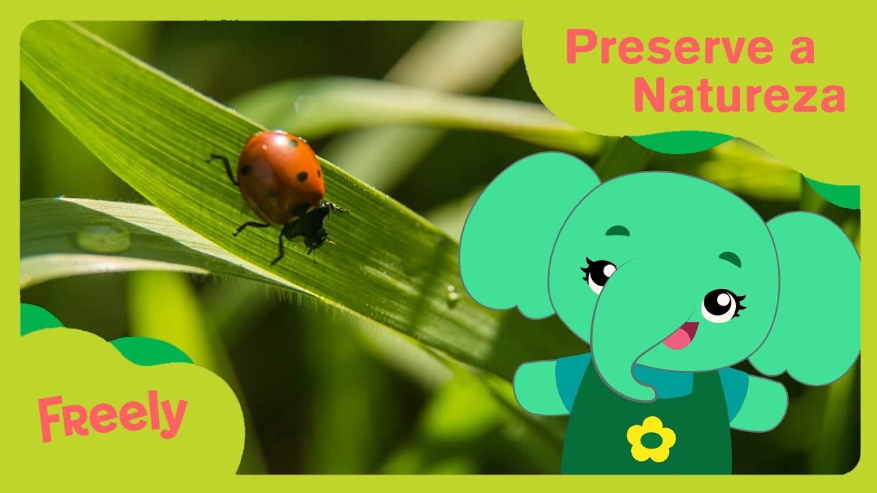 🌱 Preservar: Dia do Meio Ambiente | Aprendendo com o Freely