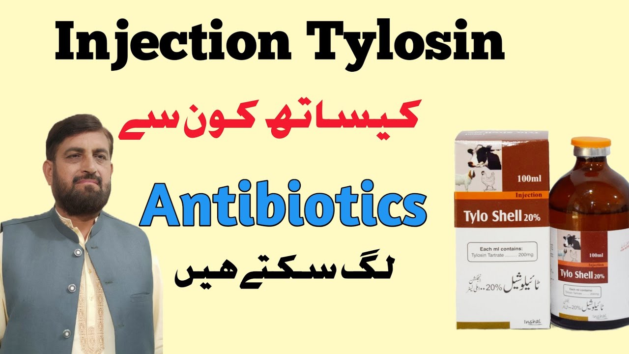 Tylosin Injection کے ساتھ کونسے Antibiotics use کریں| Tylosin Injection uses with Other Antibiotics