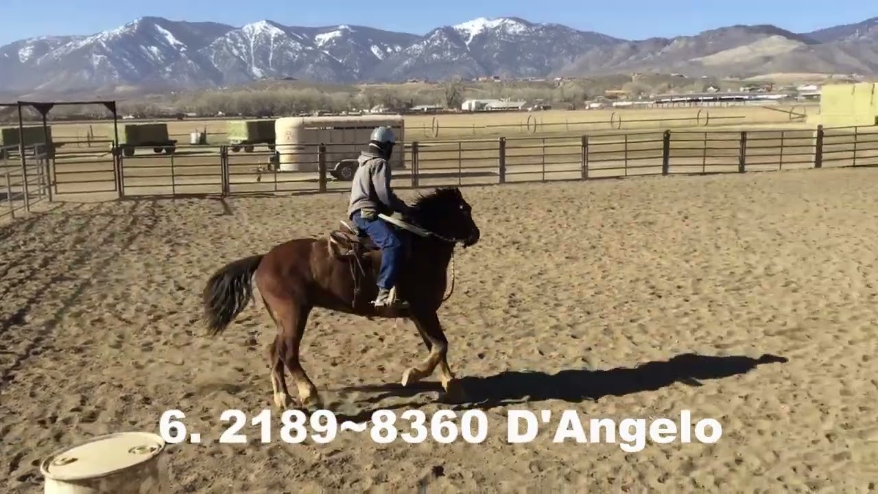 6  21898360 D'Angelo Final