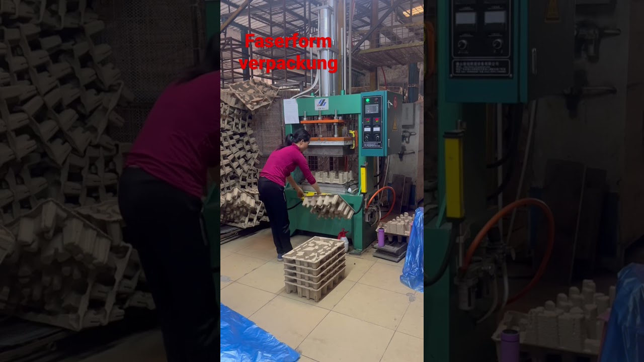 Faserform verpackung ,molded cellulose ,polpa moldada molded pulp packaging insert and trays