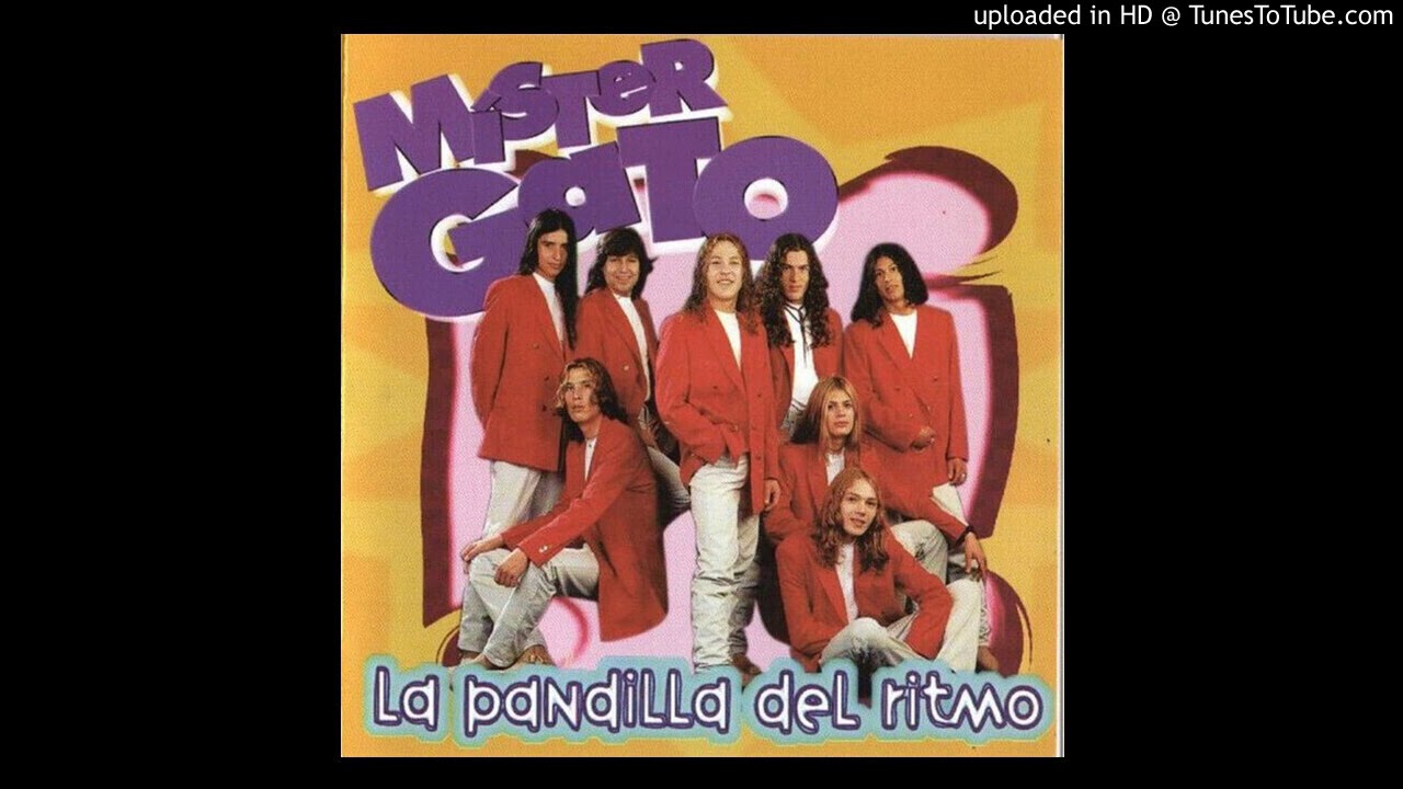 Mister Gato - Soltero