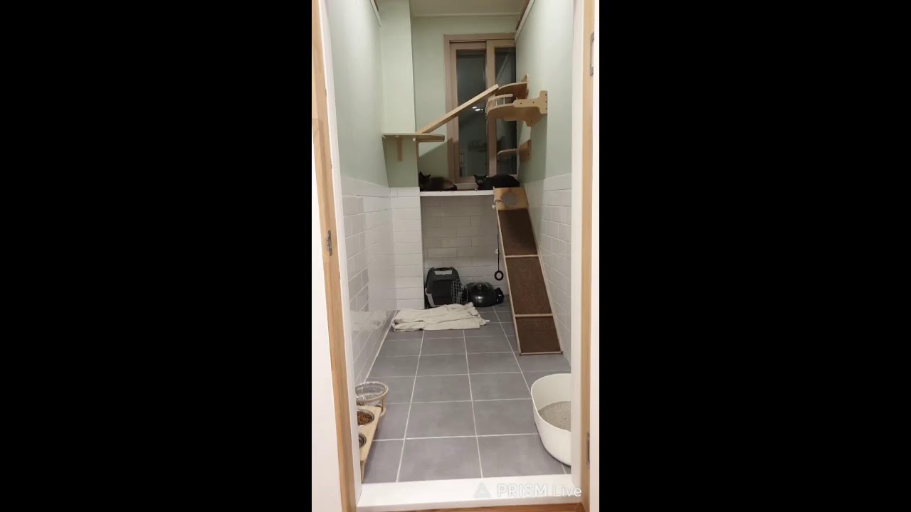 [26.03.15] 메롱이 저녁먹방