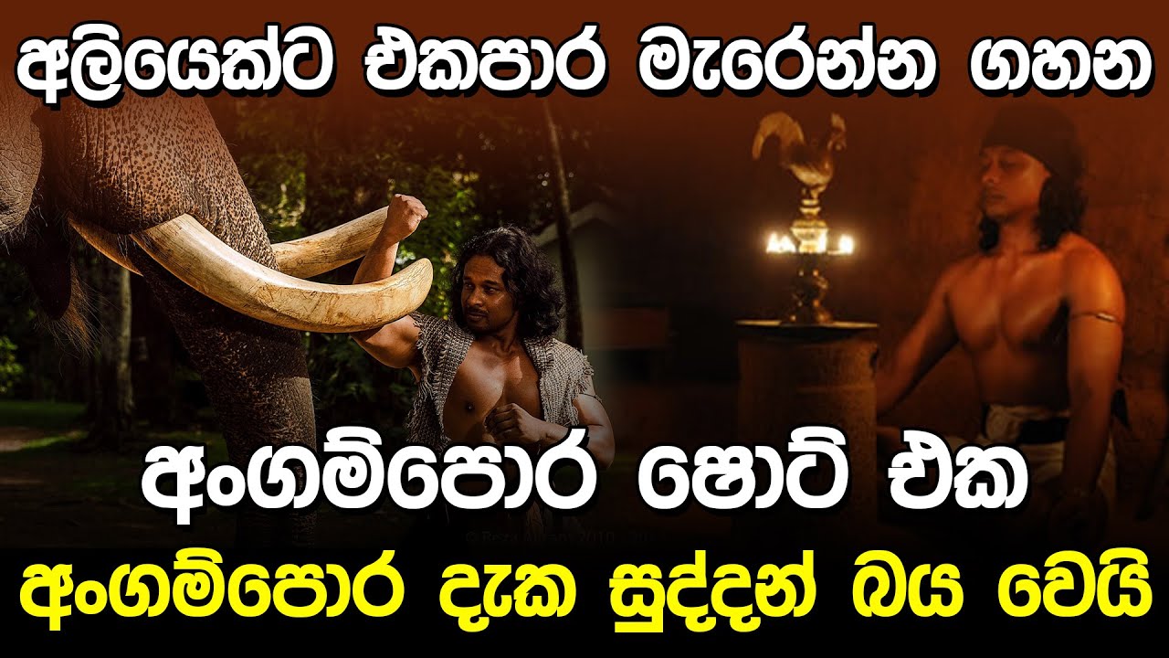 අංගම්පොර දැක සුද්දන් බය වෙයි | Angampora Sri Lanka |