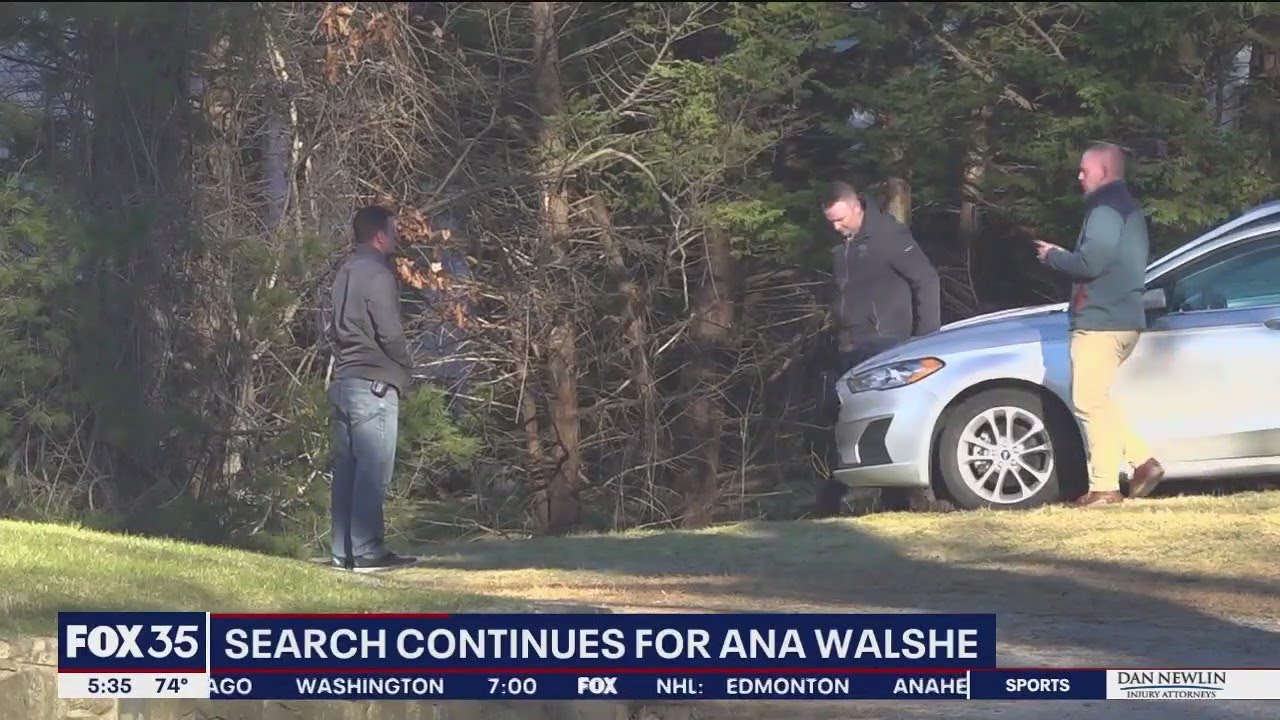 Blood found in basement belonging to missing D.C. executive Ana Walsh