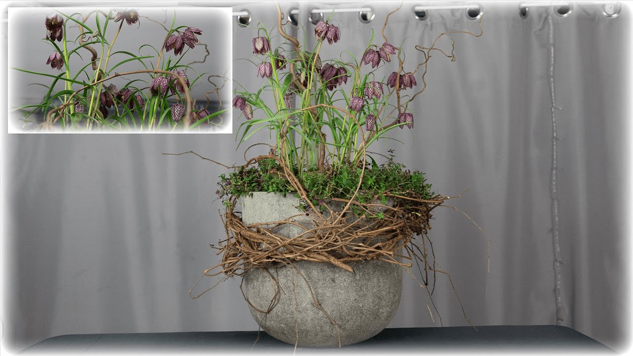 Draußen ist Frühling🌿Bepflanzung mit Schachblume und Thymian