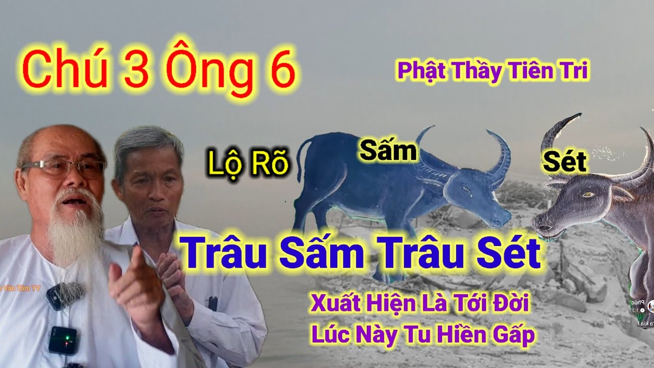 Chú 3 Ông 6 lộ rõ👉Trâu Sấm Trâu Sét,Xuất Hiện Là Tới Đời,Lúc Này Tu Hiền Gấp.