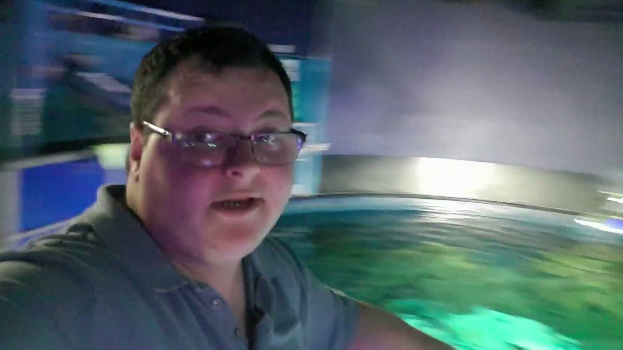 Sea Life Manchester Turtle Feeding Experience - SJBB