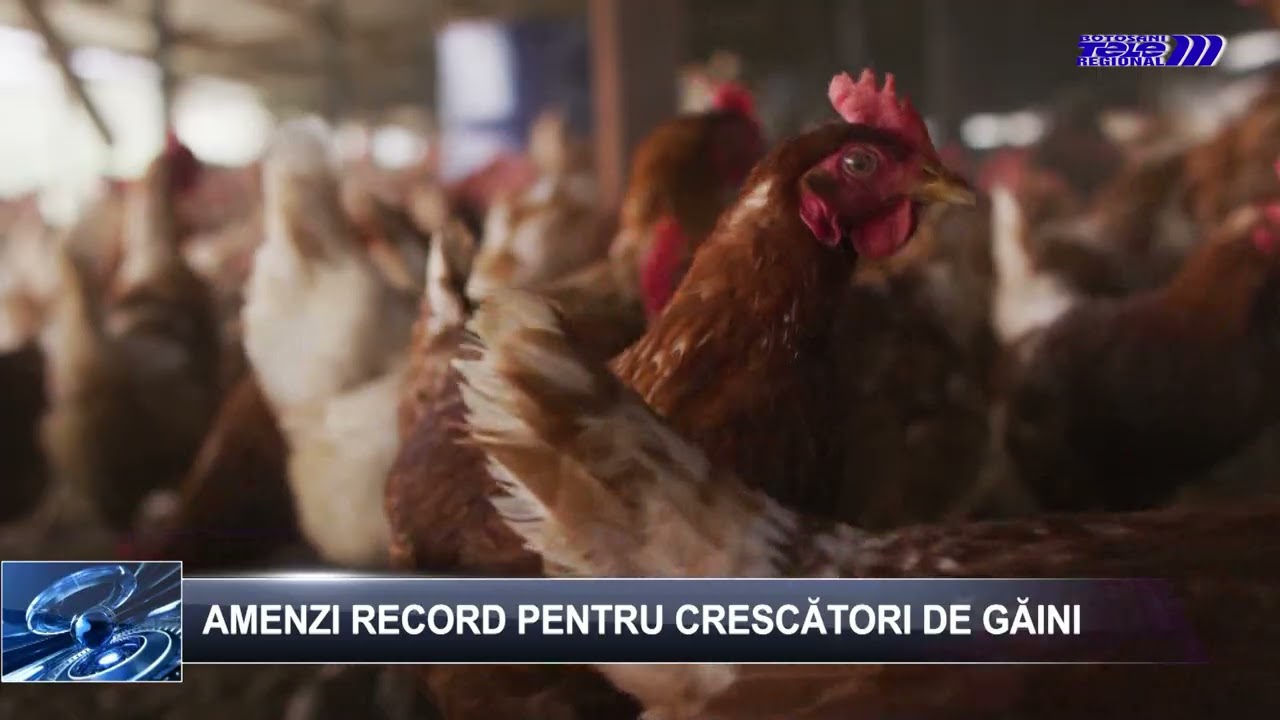 ȘTIRILE TELE`M Botoșani 29 ianuarie 2026