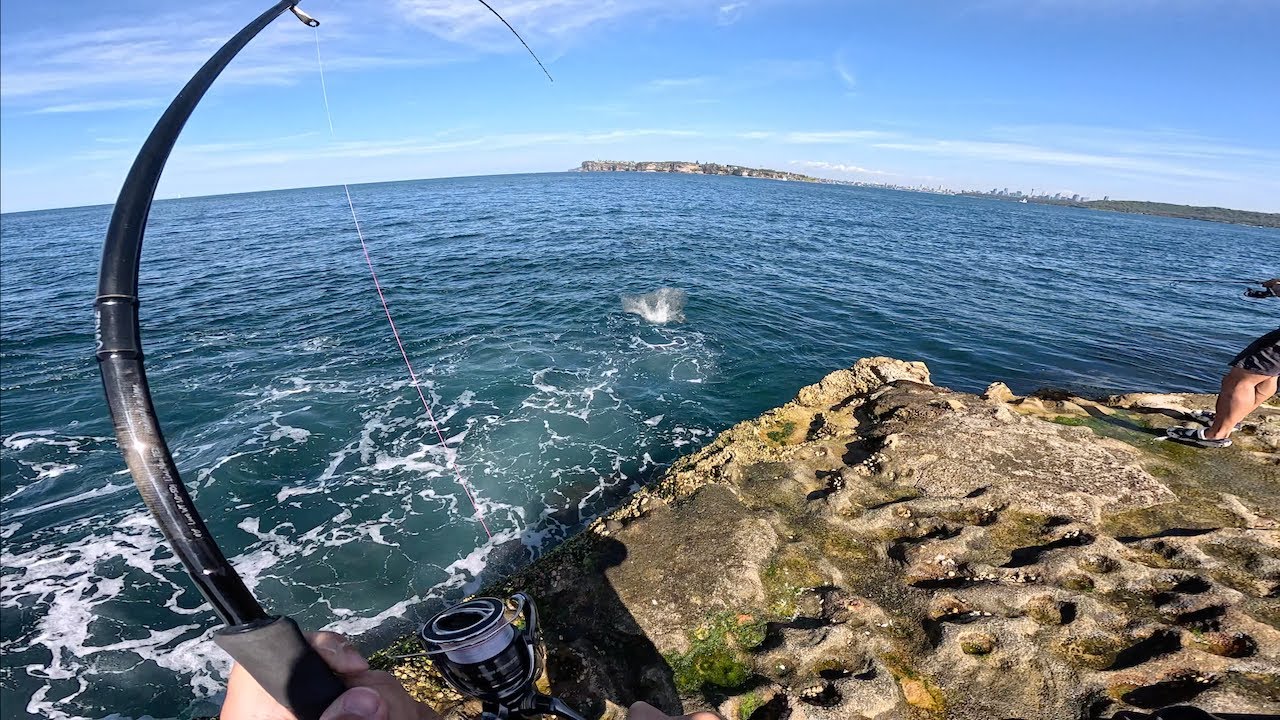 We Tried Live Baiting for Pelagics… | Underrated Catch & Cook + Topwater Redemption