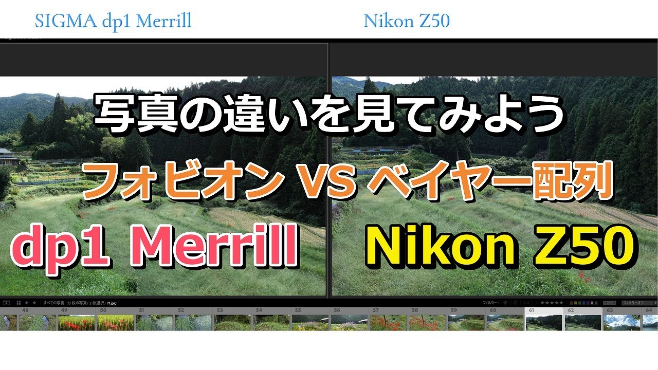 写真を比較  dp1 Merrill / Nikon z50 フォビオンの特性