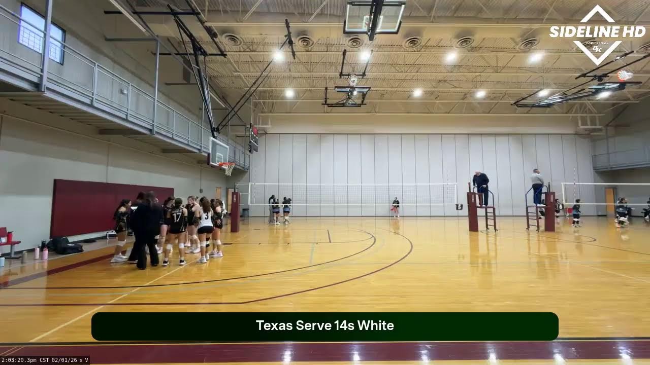 TSV 14s White (2026.02.01)