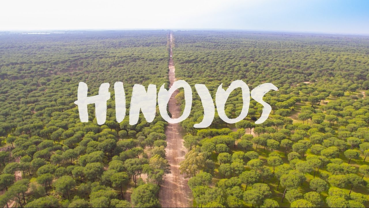 Alrededores de Hinojos a vista de pájaro (Huelva)