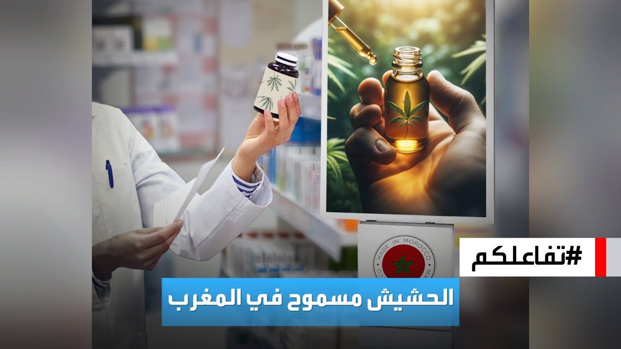 تفاعلكم | قريبا.. الحشيش في صيدليات المغرب