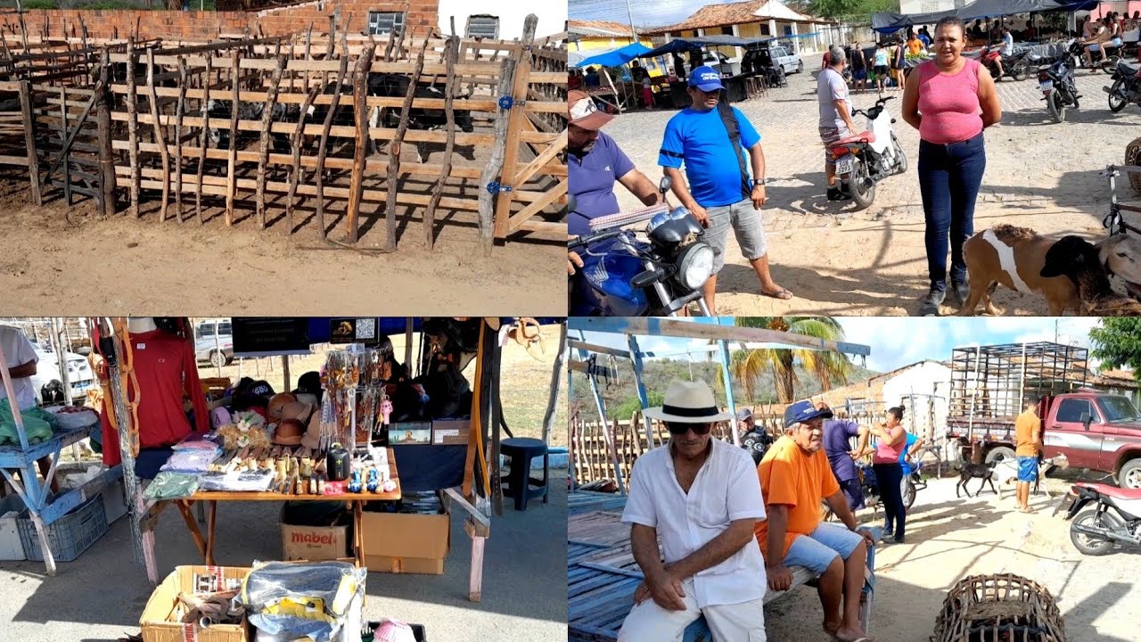 Feira de Animais do povoado dos Patos em Frei Miguelinho Pernambuco 21/02/2026.