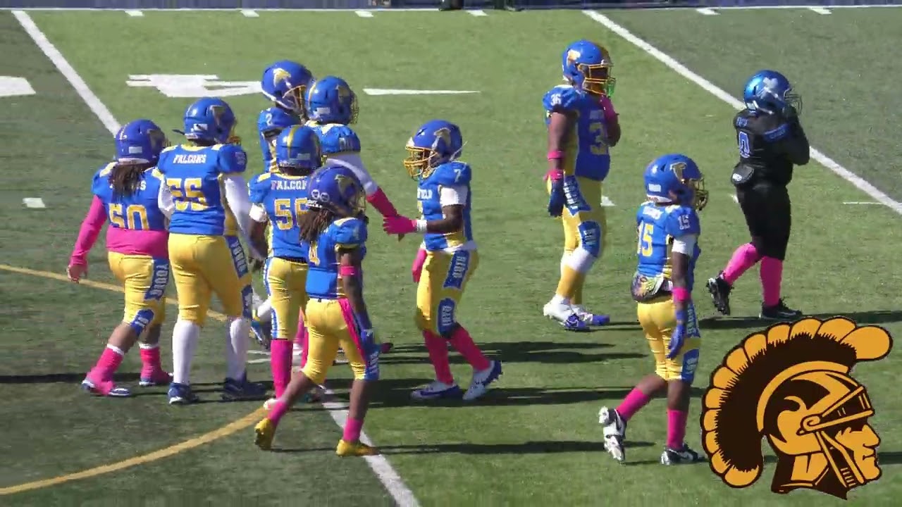 Detroit City Lions vs. Southfield Falcons (10U) Game Highlights (10-5-2024)