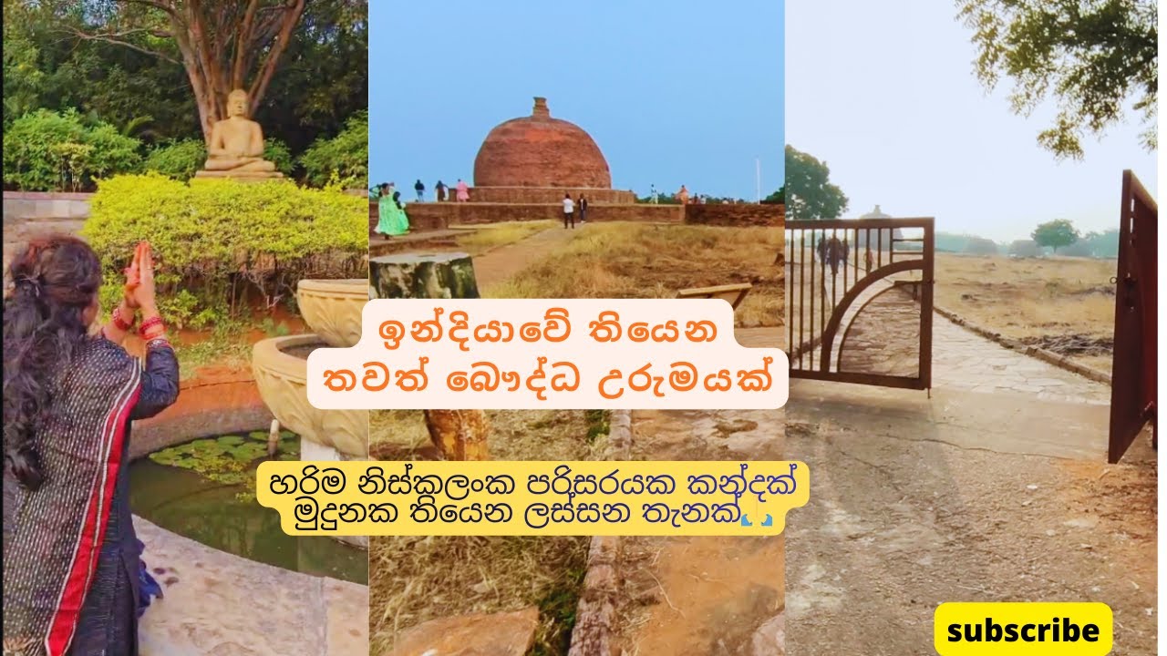 ඉන්දියාවේ තියෙන  අයිතිහාසික බෞද්ධ  ස්ථානයක් ☸️ 🇮🇳Lets explore one of the buddhist place in INDIA 🇮🇳