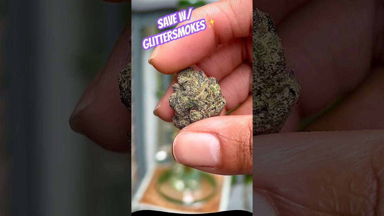 Grape OG California Gold Farm #subscribe #review #420community #freethatplant #hemphealing