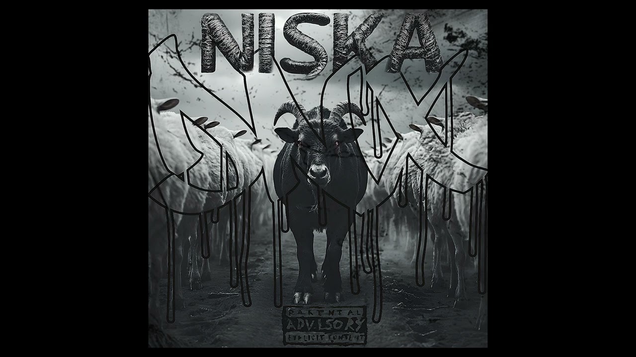 DNX24/7 - NISKA ( officiel audio )