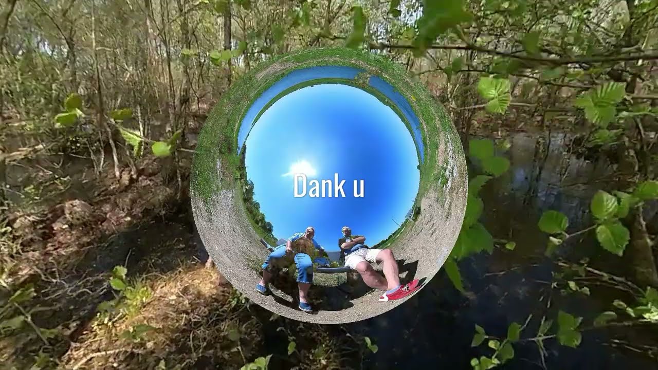 De meest noordelijk levende Flamingo's (Zwillbrocker Venn Duitsland) Net over de grens van Nederland