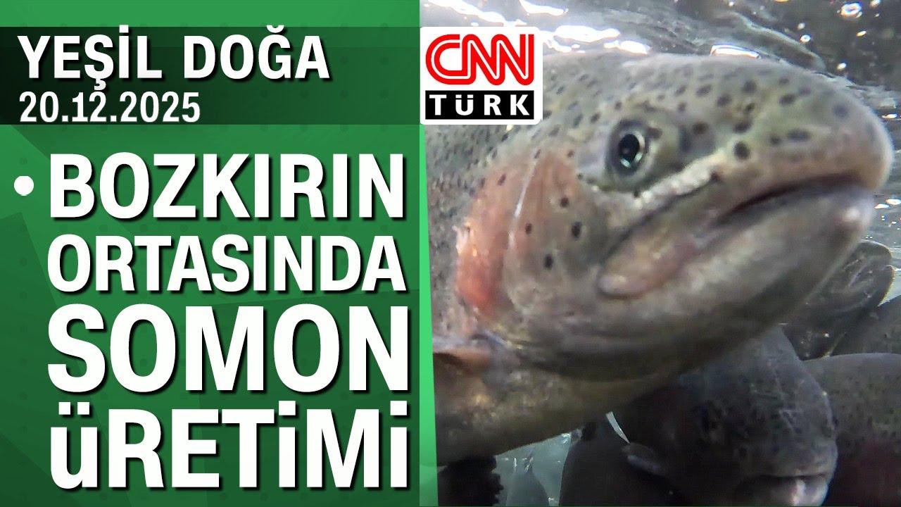 Bozkırın ortasında somon üretiminin hikayesi - Yeşil Doğa 20.12.2025 Cumartesi