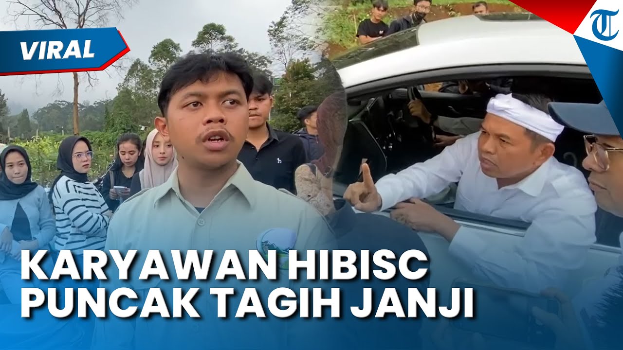TAGIH JANJI ke Dedi Mulyadi, Puluhan Karyawan Hibisc Fantasy Puncak Kena 'Omel'