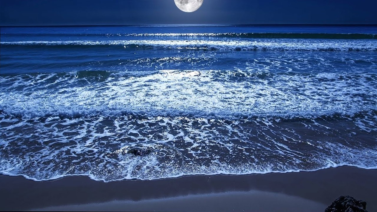 Miss Calm Beach All Night Long | Relax Right Now