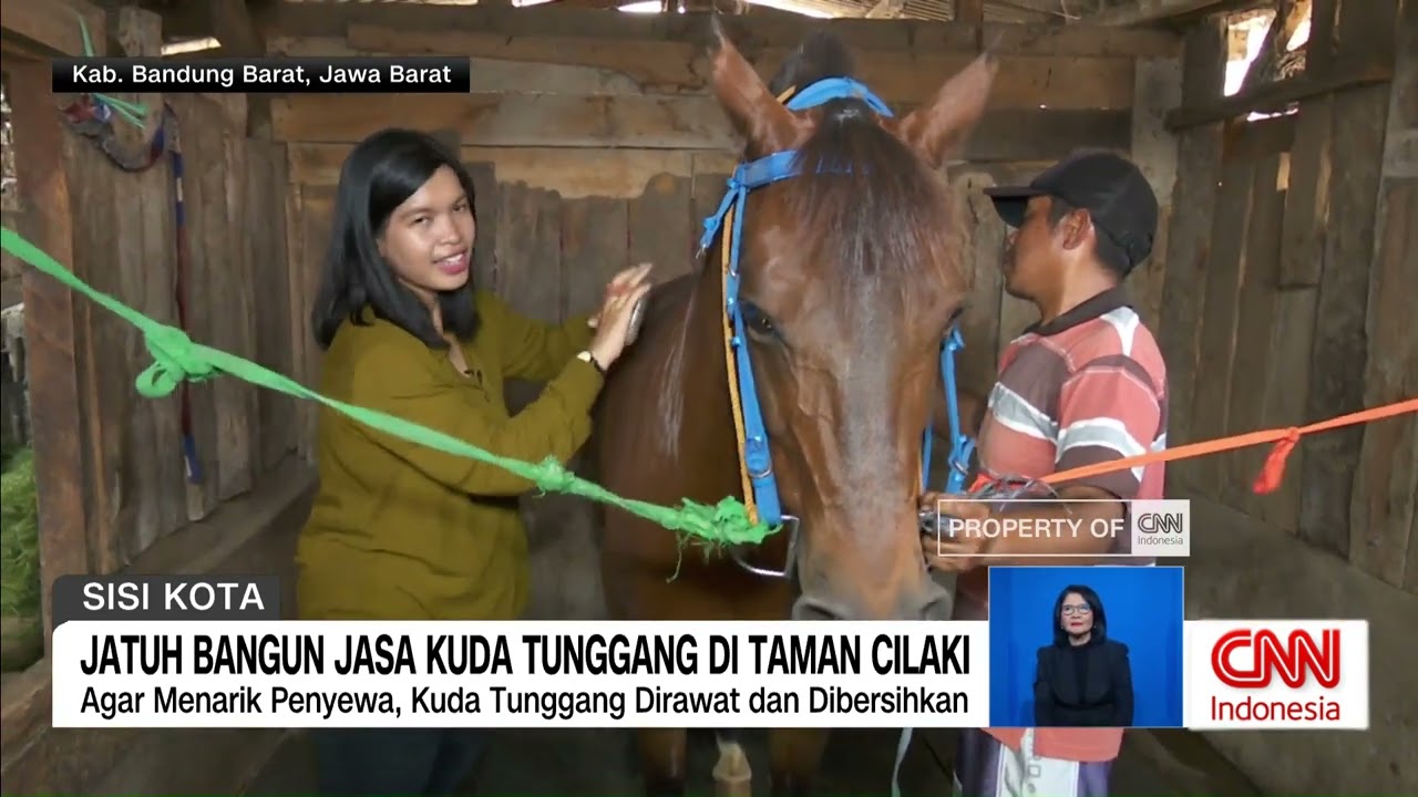 Jatuh Bangun Profesi Jasa Kuda Tunggang di Taman Cilaki