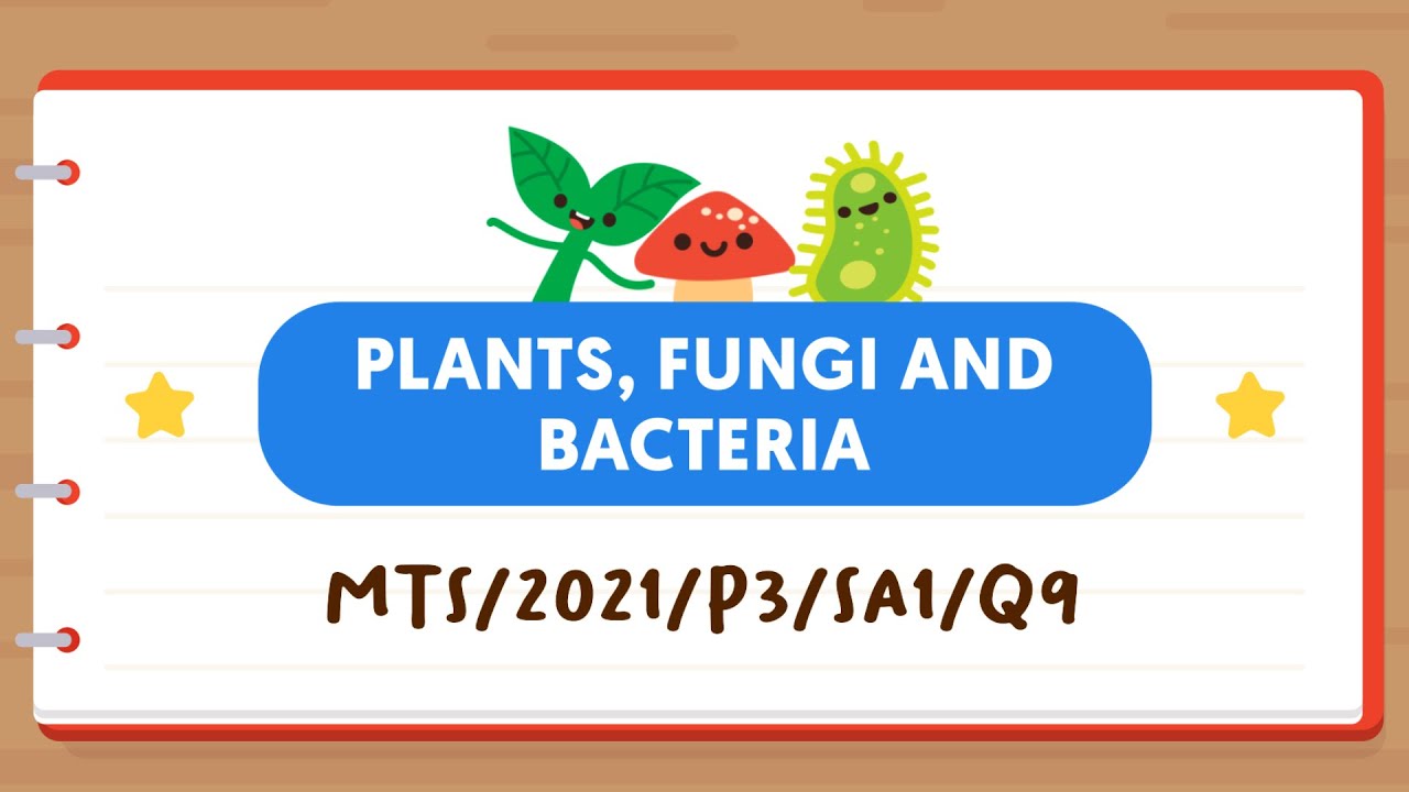 PSLE SCIENCE MADE SIMPLE EP109 | Plants, Fungi & Bacteria | Which Organism Is Classified Wrongly? 🍄