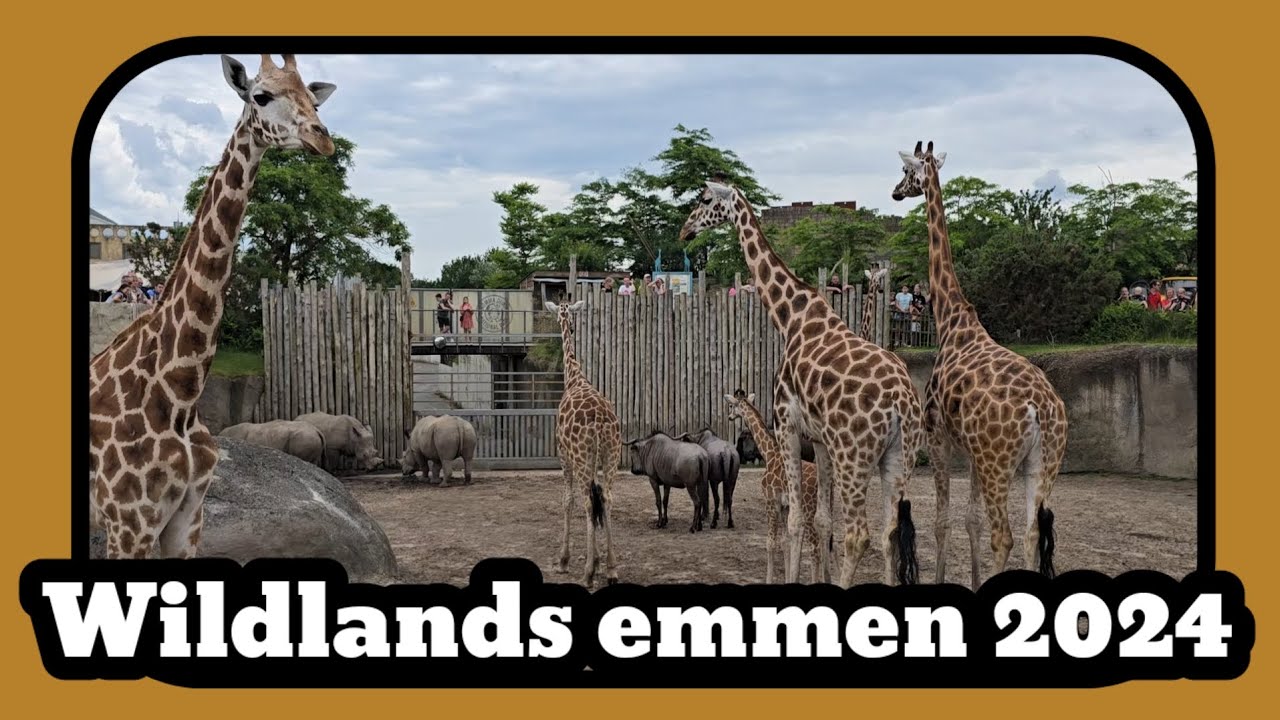 Dagje in wildlands adventure zoo in Emmen 2024