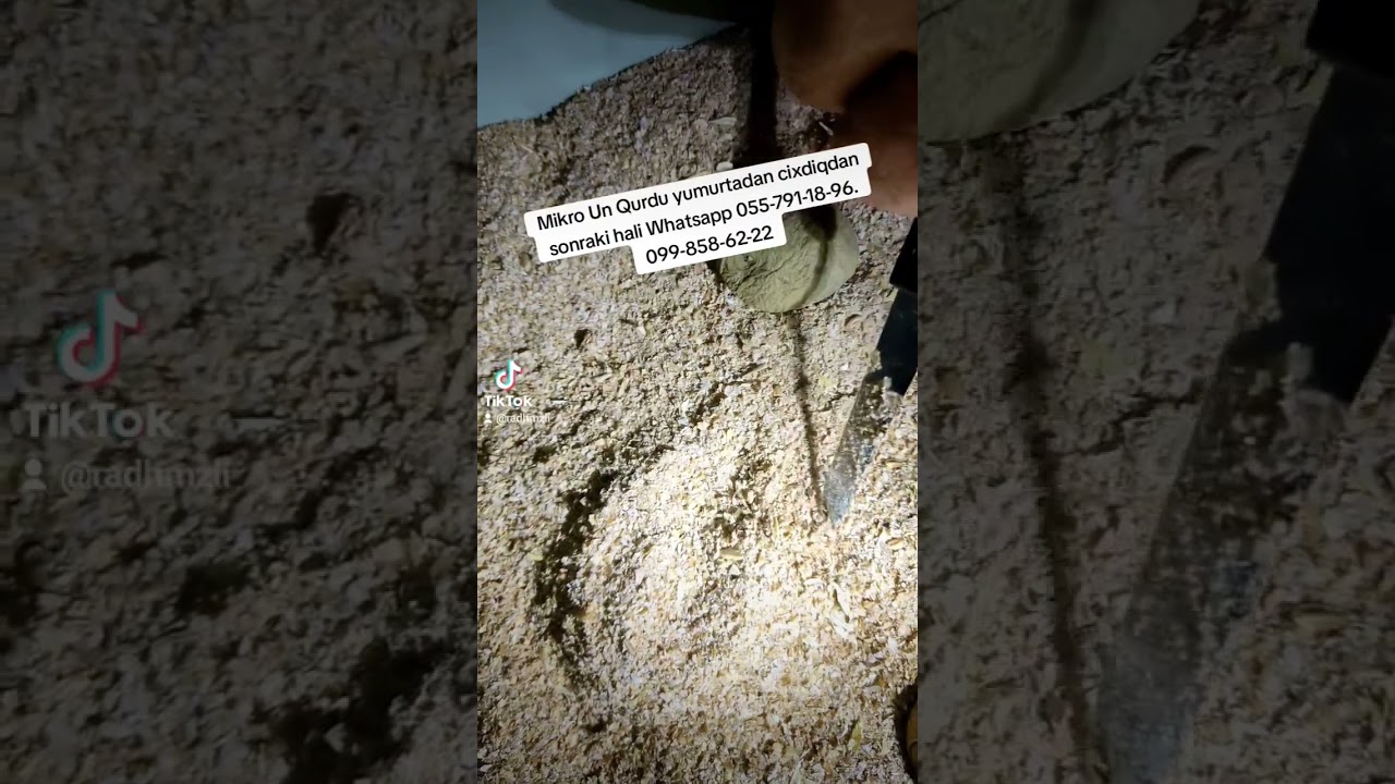 Mikro un Qurdu necə olur