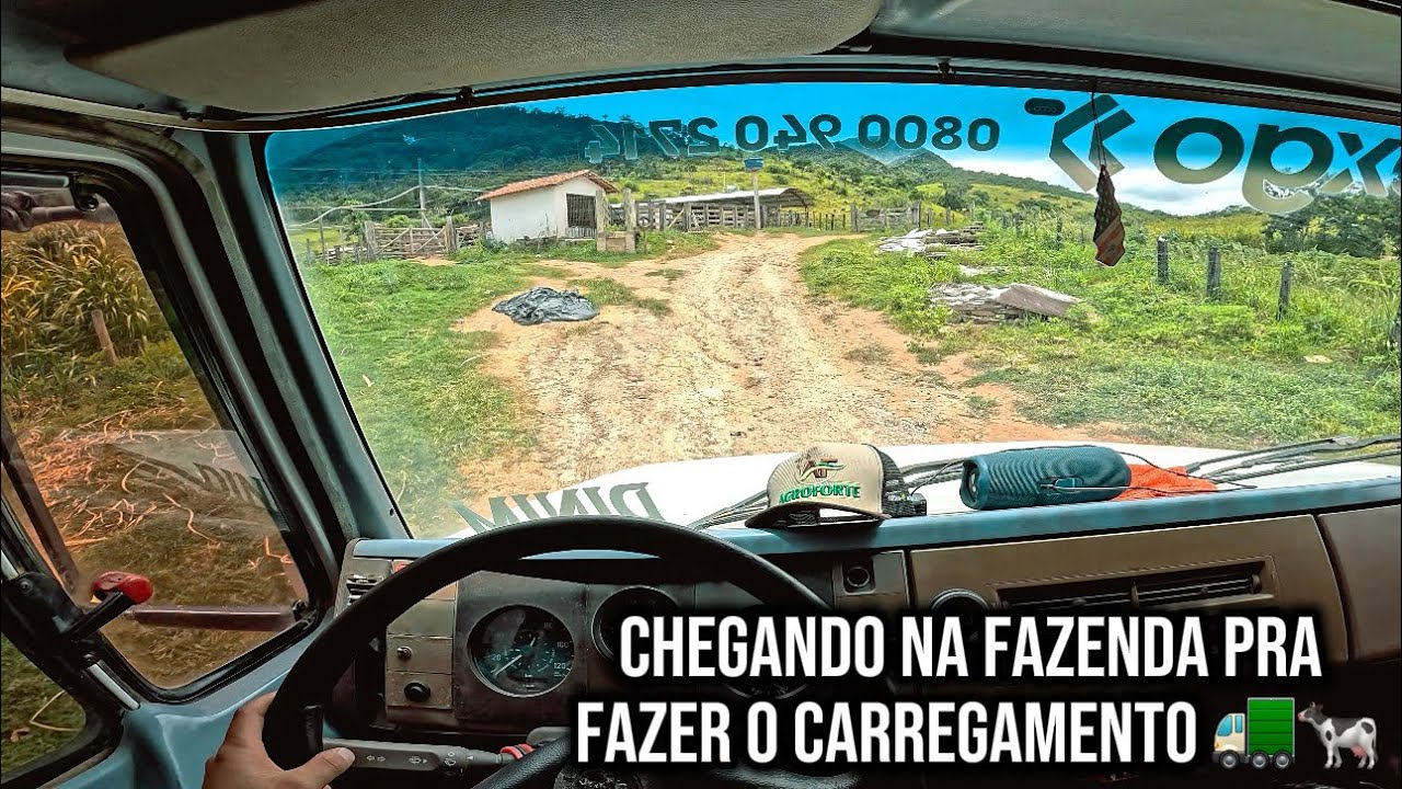 Chegando na fazenda pra fazer o carregamento do suco da mimosa 🚛🐄 caminhão 1418 