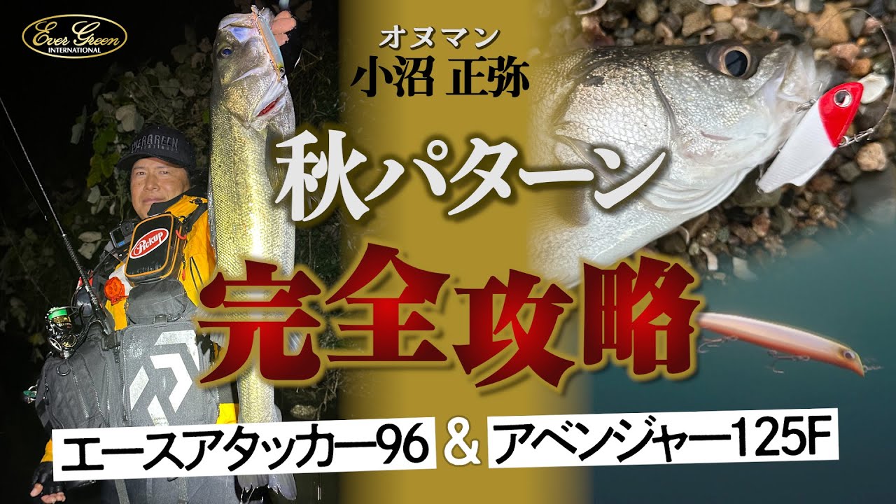 山陰シーバス完全攻略！良型連発！エースアタッカー96＆アベンジャー125F