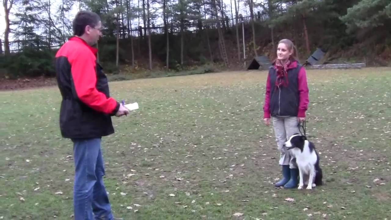 Zkoušky ZOP