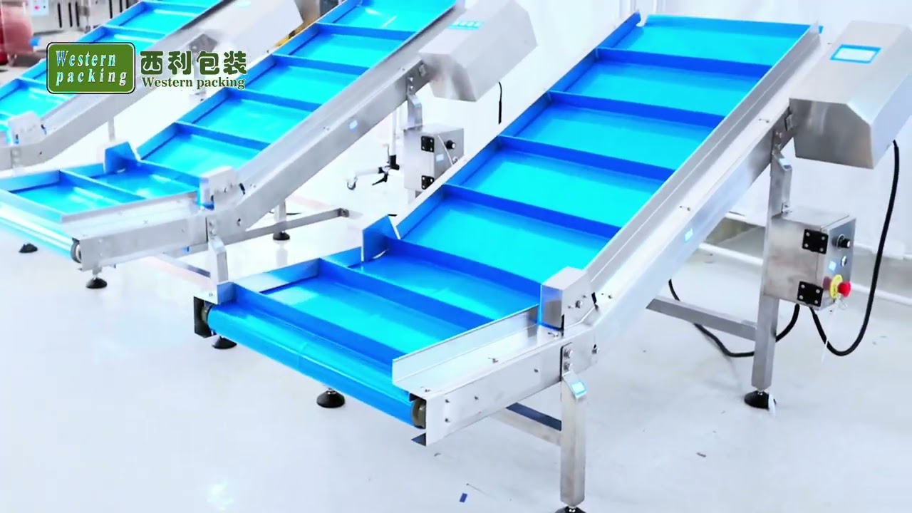 Finished conveyor Take Away Finished Food Grain Product Belt Conveyor Elevator Bag Output Conveyor
