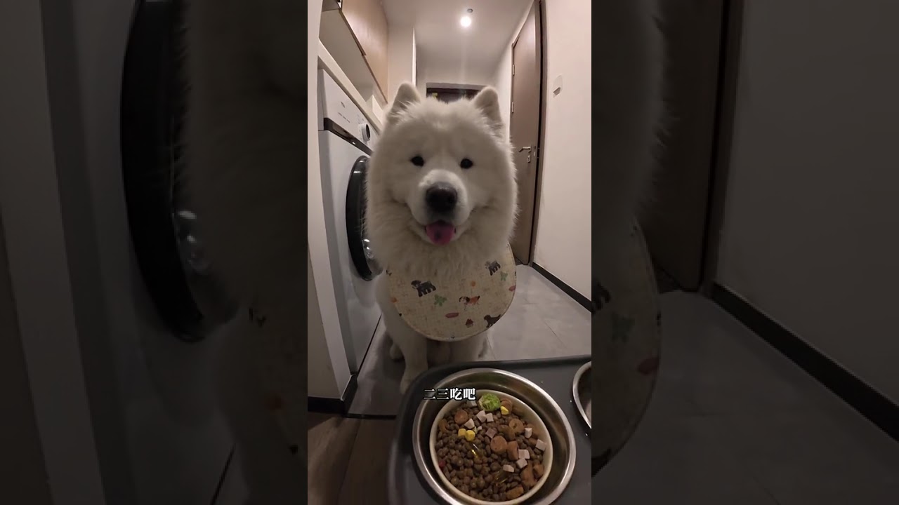 I m really craving you kid#vlog Daily Life