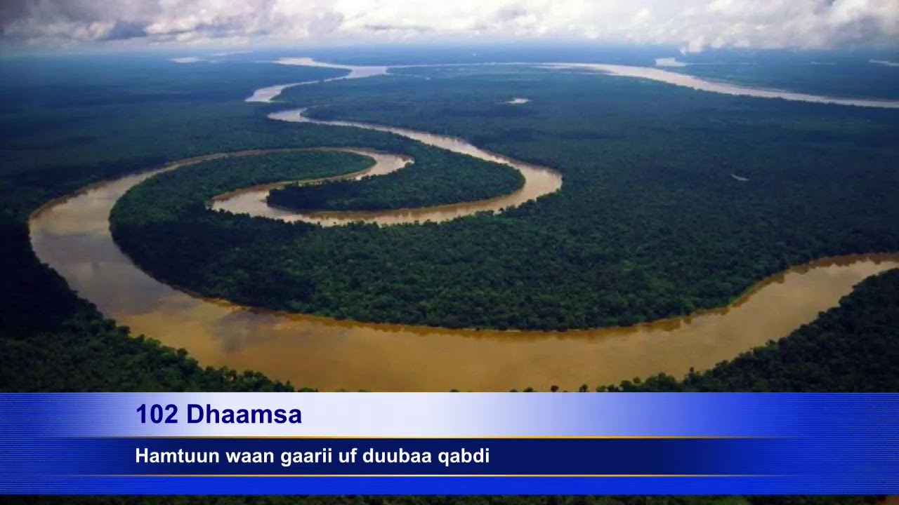 102 Dhaamsa, Wanni hamtuun waan gaarii duubaa qabdi