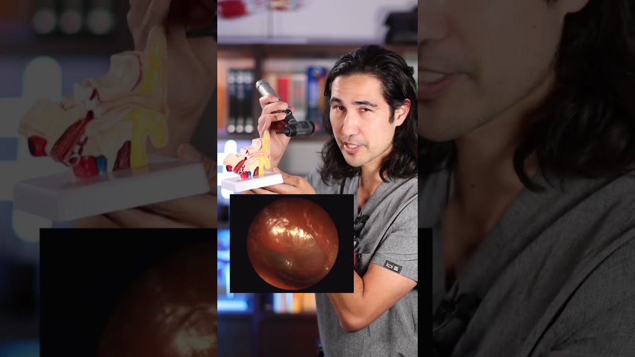 How Doctors Look Inside Your Ears 