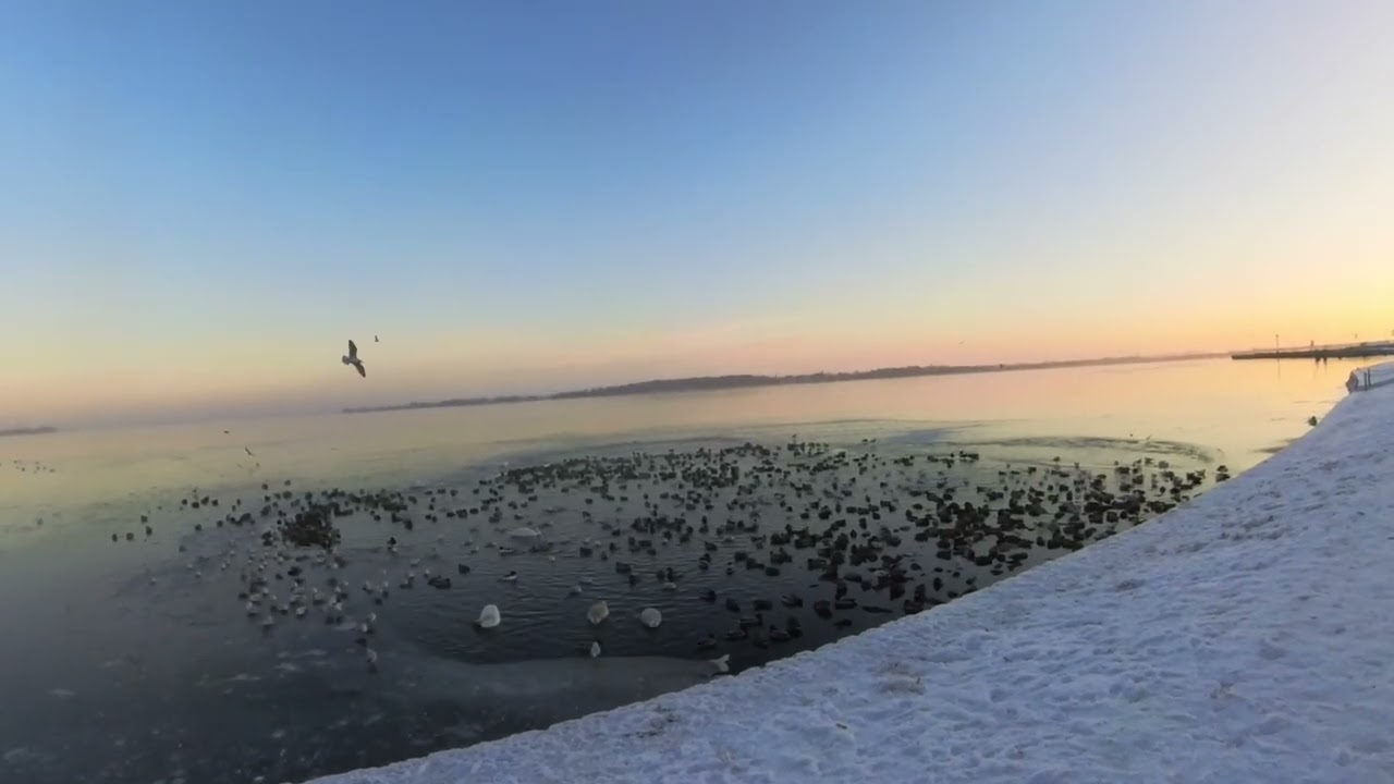 Minus 8 Grad. Stralsund Sundpromenade