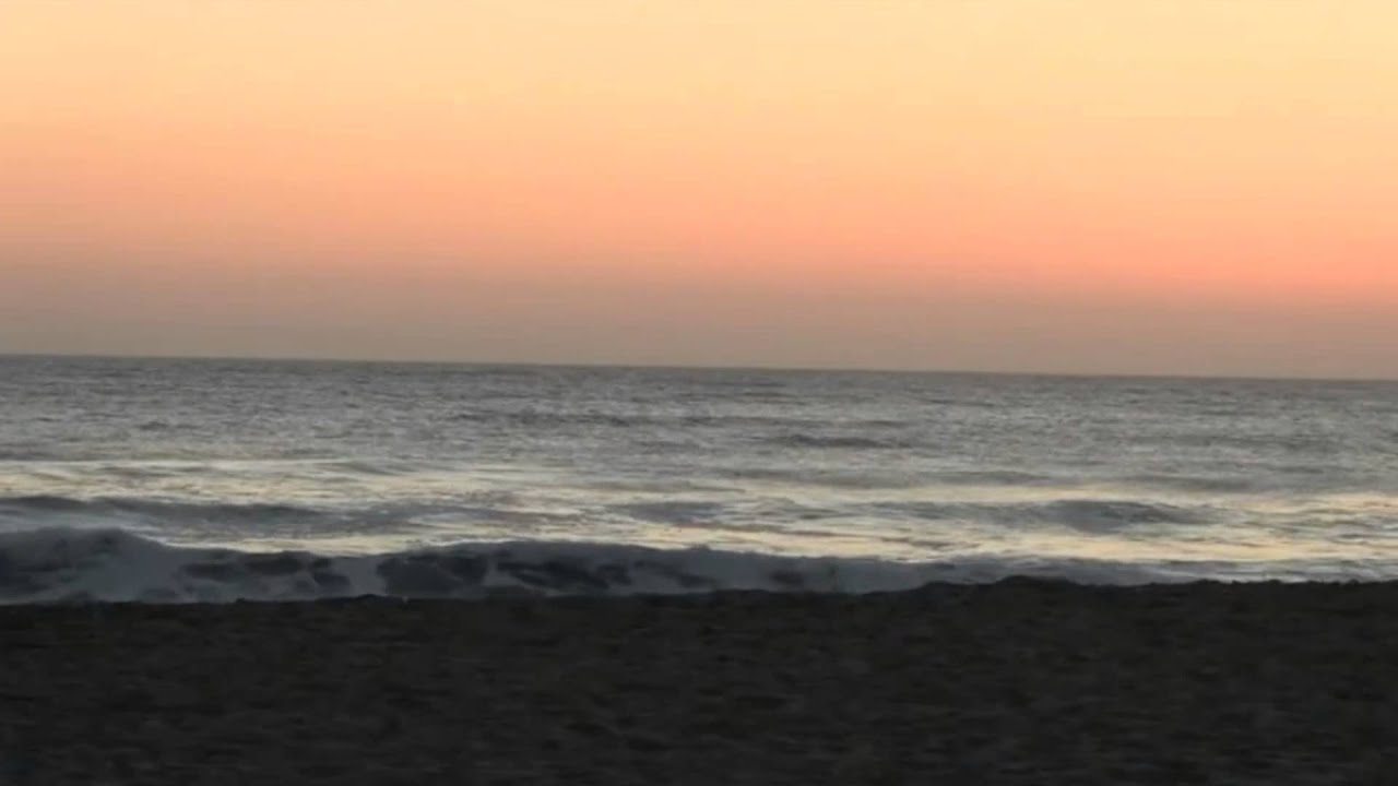 Sarin Sunday - Shore Dreams