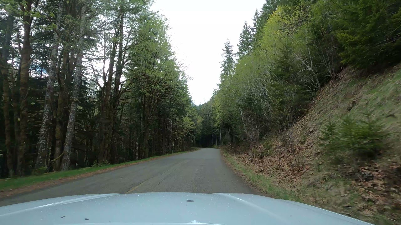 4K Driving on Forest Road 23 to the Brown Creek Campground in Olympic National Forest, Washington