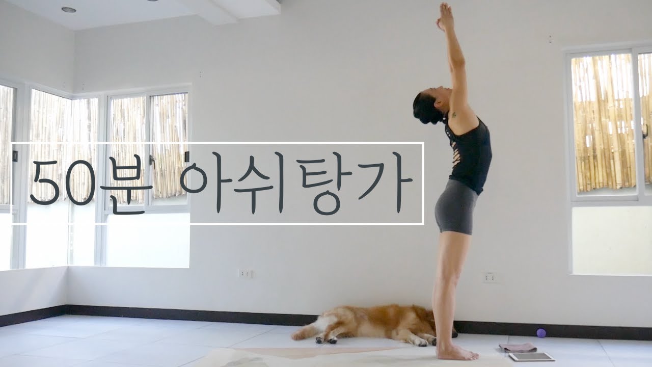 [EVA YOGA]아쉬탕가프라이머리 선자세+쿨다운 수련/칼로리소모 대박/유산소+근력/초보자가능