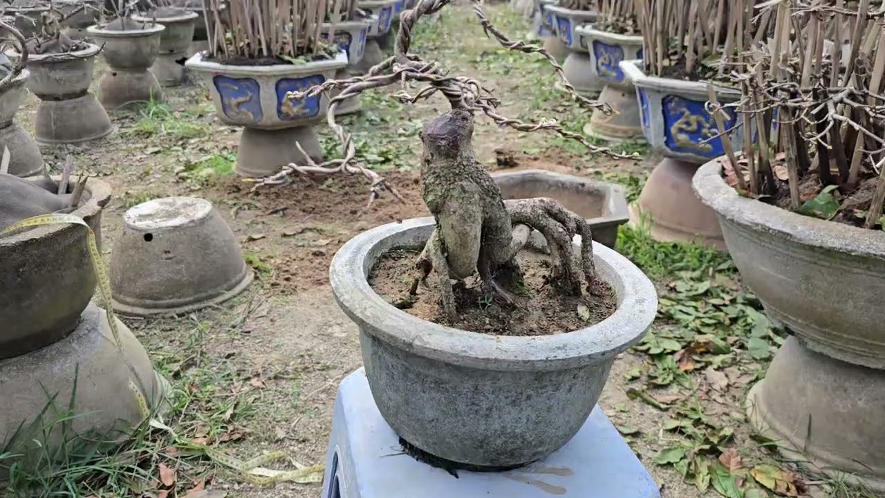 Gl ae 1 mini bỏ bàn .giá sv . 0935633236