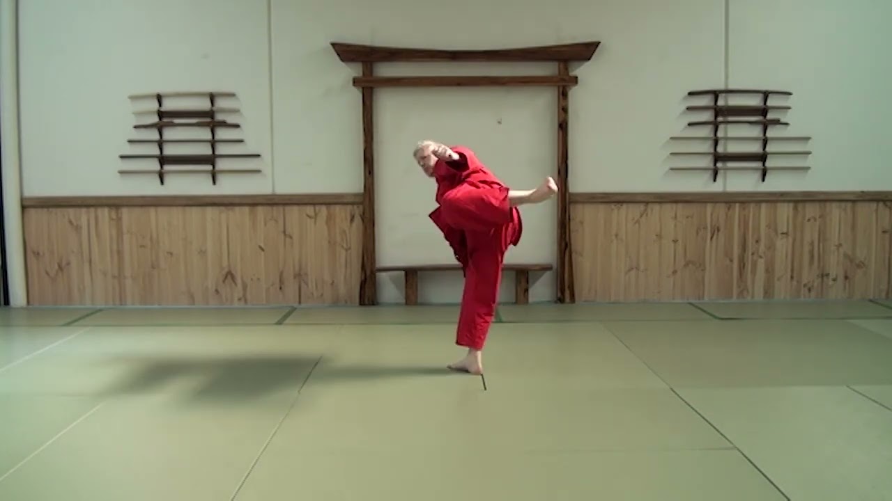 graham slater karate kicking drills part 3 2015