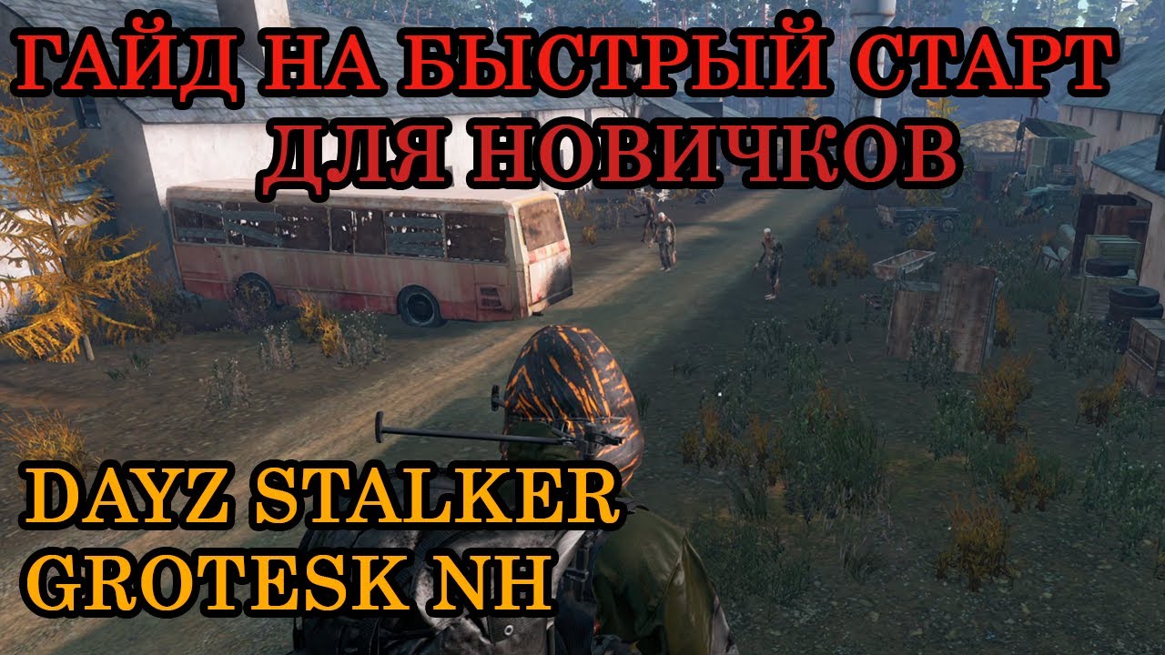 Гайд обзор для новичков - Dayz Stalker Grotesk NH