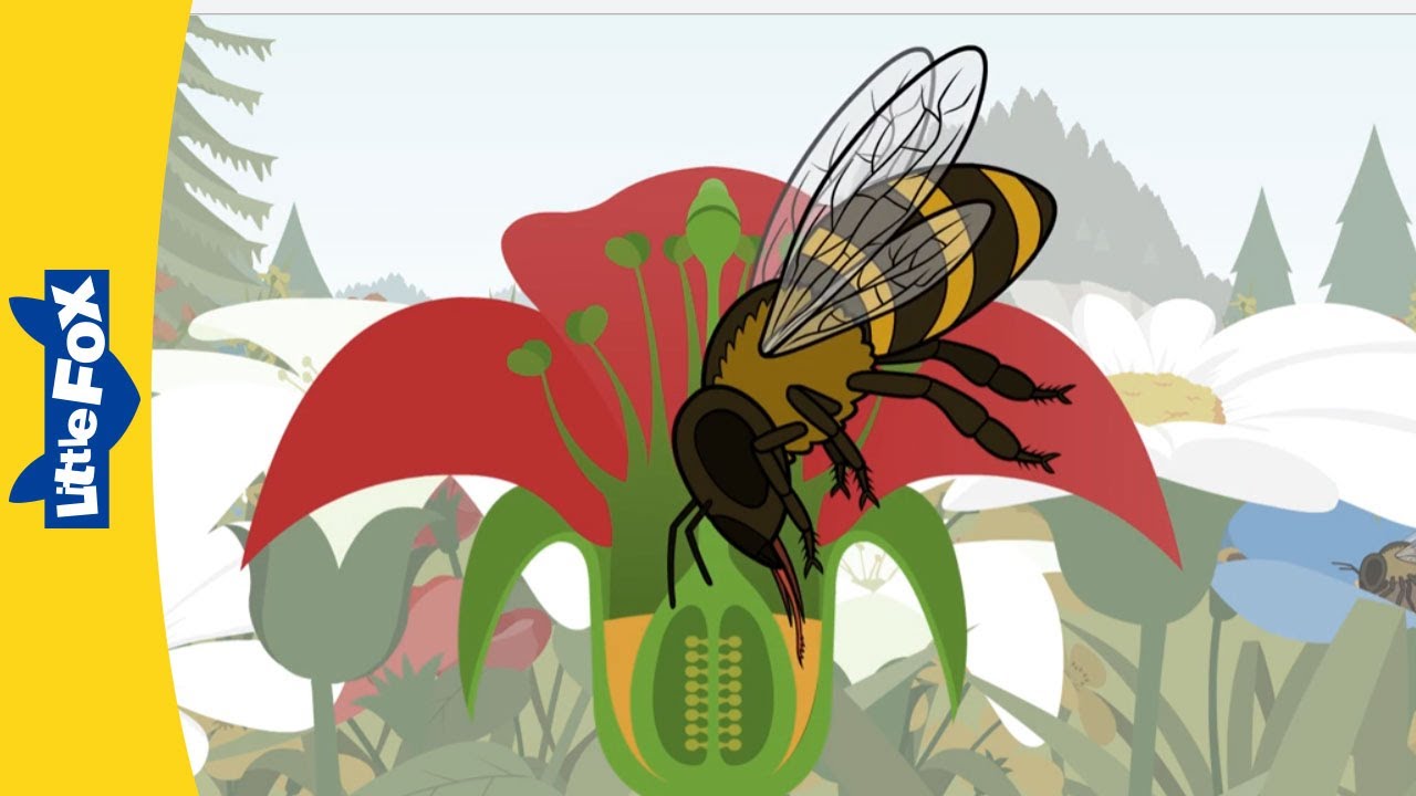 How Worker Bees Make Honey | Stories for Kindergarden