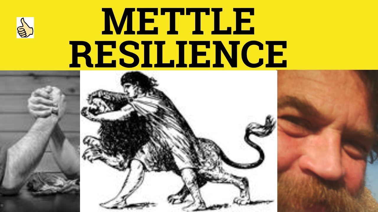 🔵 Resilience or Mettle - Resilient Meaning - Mettle and Resilience Definition - Mettle vs Resilience