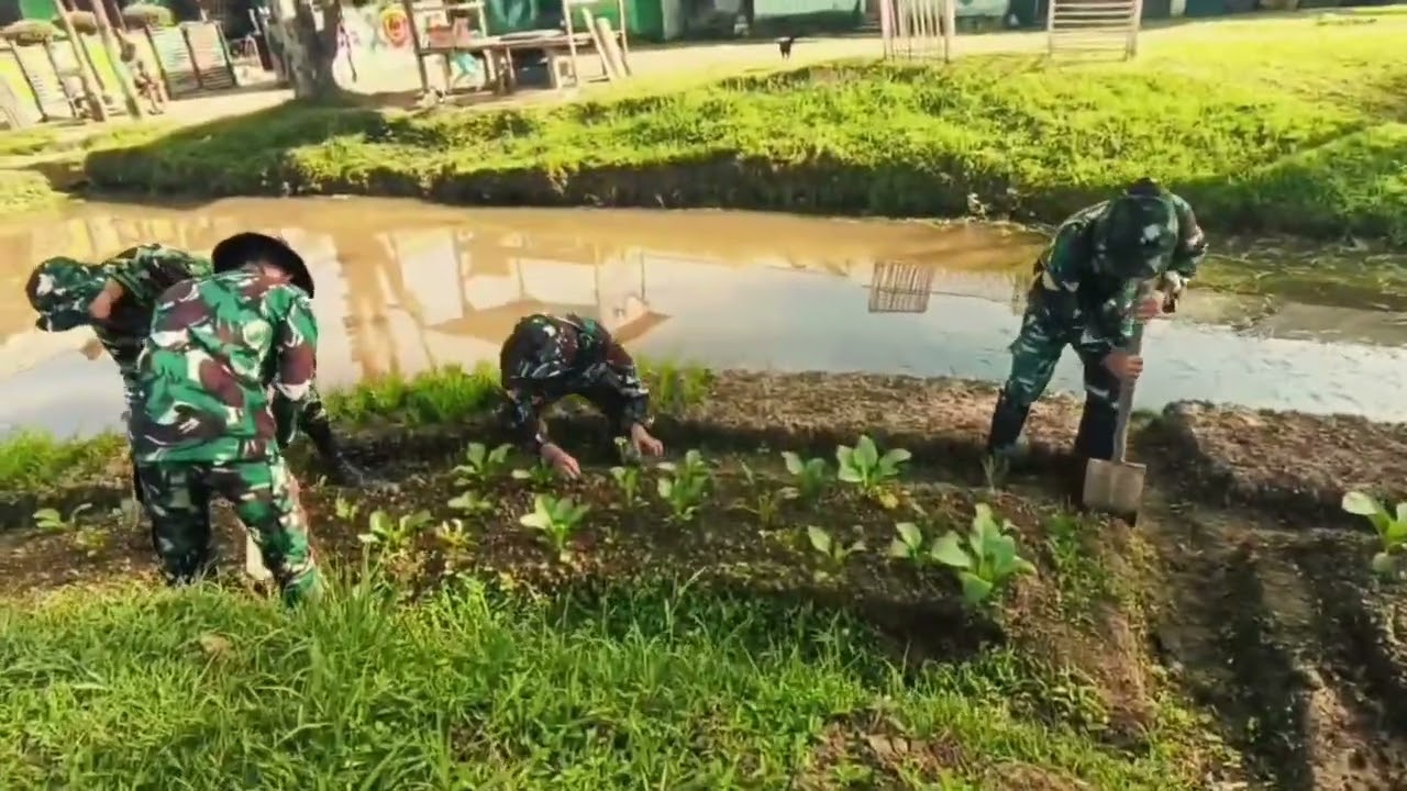 POS MAPIA PEMBUKAAN LAHAN BARU DENGAN MANFAATKAN POTENSI ALAM PAPUA JADI SENTRA PANGAN PRODUKTIF