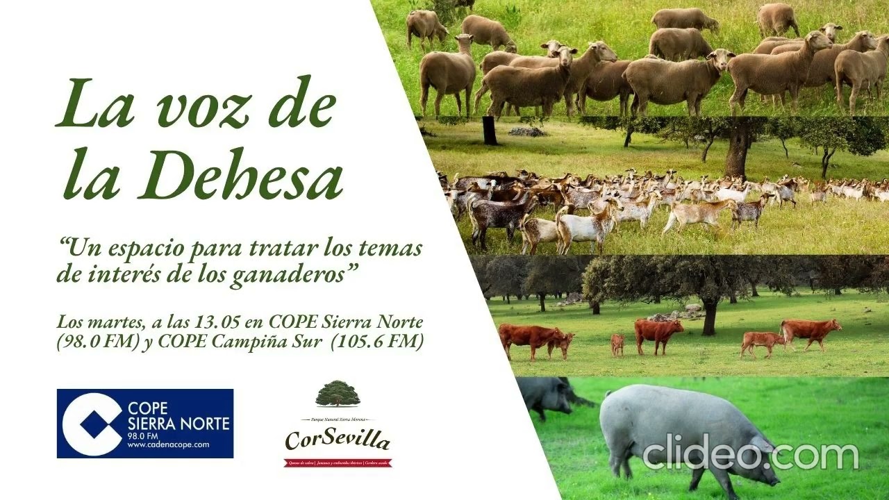 La Voz de la Dehesa 9x11.- Santiago Sánchez-Apellániz, Peste Porcina Africana (9.12.2025)