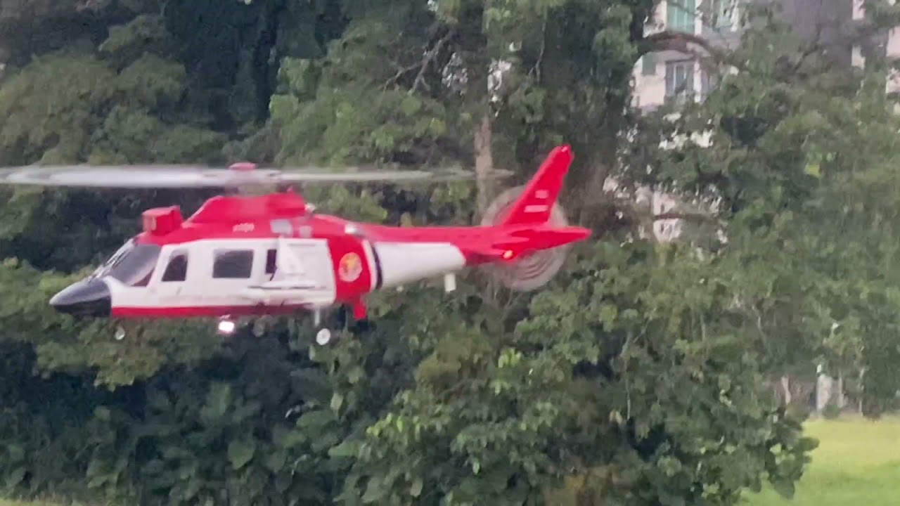 Rc AGUSTA A109, 600 size (PART 2)